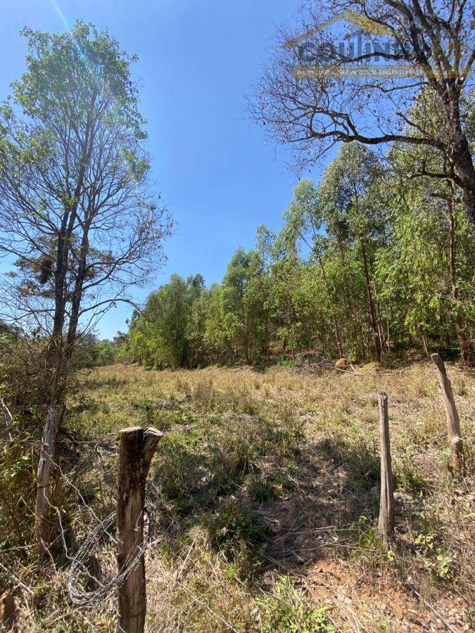 WhatsApp Image 2025-09-12 at 11.33.23.jpeg